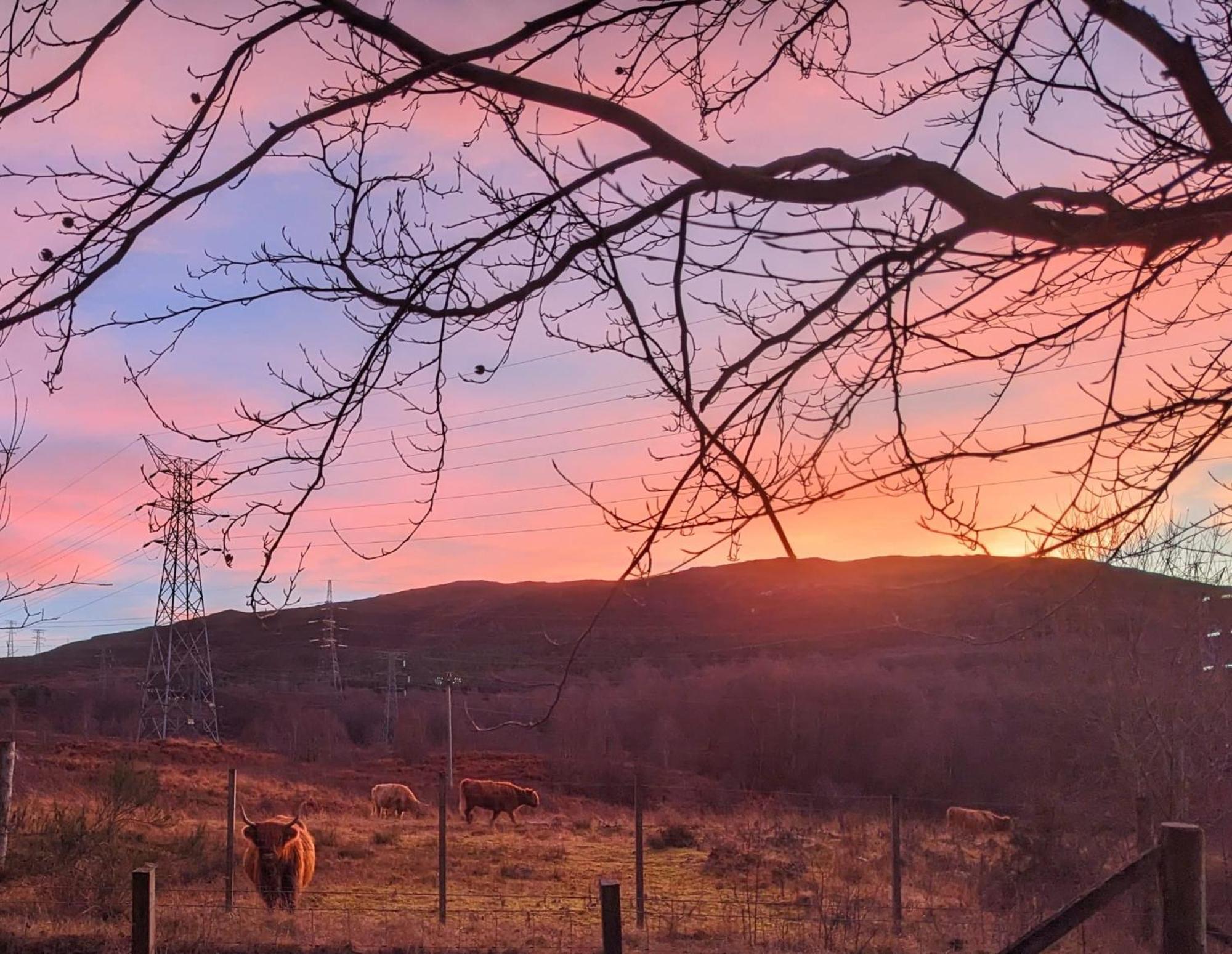 Studio Cottage * Tummel Bridge